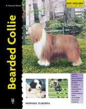 BEARDED COLLIE -EXCELLENCE