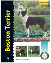 BOSTON TERRIER -EXCELLENCE