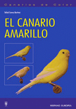 CANARIO AMARILLO, EL