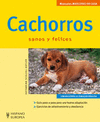 CACHORROS -MASCOTAS EN CASA