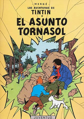 ASUNTO TORNASOL, EL 18