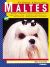 MALTES - ANIMALES DE COMPAÑIA