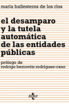 DESAMPARO Y LA TUTELA AUTOMATICA DE LAS ENTIDADES PUBLICAS