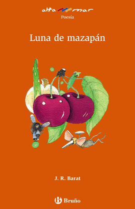 LUNA DE MAZAPAN 233