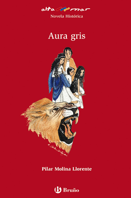 AURA GRIS 11