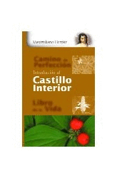 INTRODUCCION AL CASTILLO INTERIOR