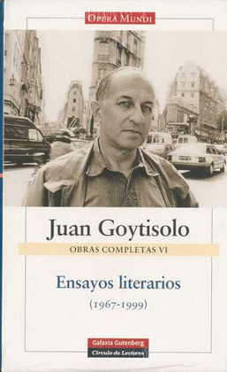 ENSAYOS LITERARIOS OBRAS COMPLETAS VI JUAN GOYTISOLO