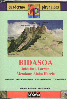 BIDASOA (LIBRO+MAPA)