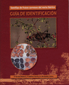 SEMILLAS DE FRUTOS CARNOSOS DEL NORTE IBERICO +CD (GUIA IDENTIFICACION)