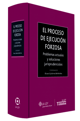 EL PROCESO DE EJECUCION FORZOSA. PROBLEMAS Y SOLUC