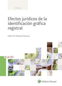 EFECTOS JURIDICOS DE LA IDENTIFICACION GRAFICA REGISTRAL