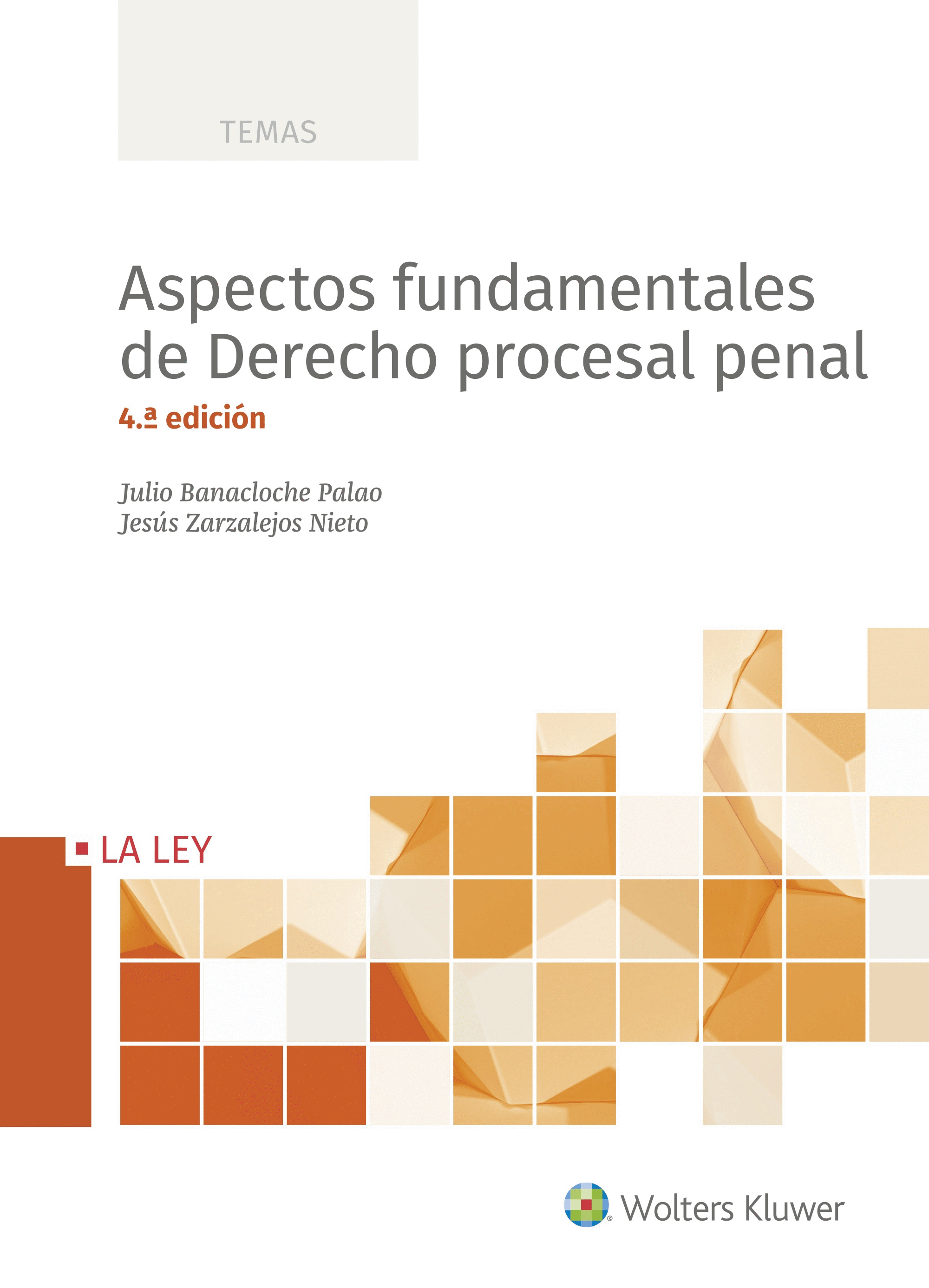 ASPECTOS FUNDAMENTALES DE DERECHO PROCESAL PENAL,