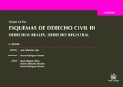 ESQUEMAS DE DERECHO CIVIL III.TOMO XXXVI EDICIÓN 2A