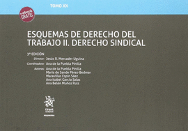 ESQUEMAS DE DERECHO DEL TRABAJO II. DERECHO SINDICAL