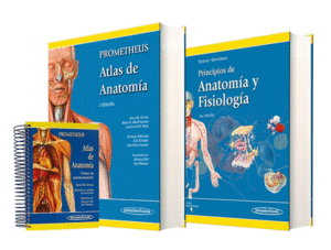 PRINCIPIOS DE ANATOMIA FISIOLOGIA/ATLAS ANATOMIA (2 TOMOS) 11ªE.
