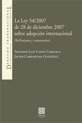 LEY 54/2007 DE 28 DE DICIEMBRE 2007 SOBRE ADOPCION INTERNACIONAL