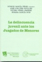 DELINCUENCIA JUVENIL ANTE LOS JUZGADOS DE MENORES, LA