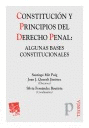 CONSTITUCION Y PRINCIPIOS DERECHO PENAL