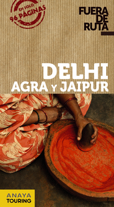DELHI, AGRA, JAIPUR 2013
