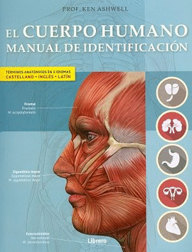 CUERPO HUMANO, EL. MANUAL DE IDENTIFICACION (BILINGUE)